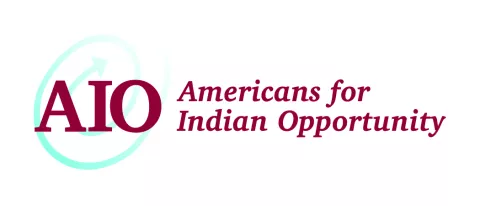 AIO-Logo.jpg