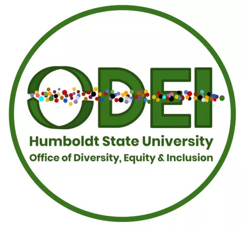ODEI-Logo-Design-3b-2.jpg