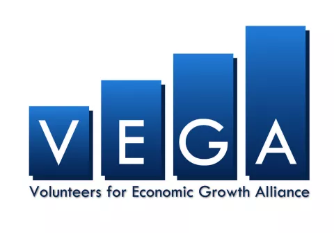 VEGA-Logo-bar-chart.jpg